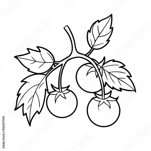 Coloring page. Composition of different vegetables on white background