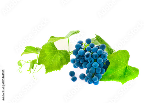 Grapes with grape leaf isolated on white background.