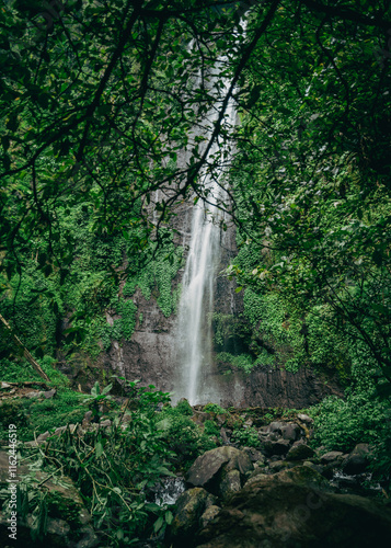 Towering waterfall in a tropical rainforest, surrounded by vibrant greenery and a misty, tranquil atmosphere.