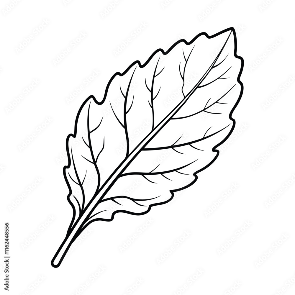 Fototapeta premium Coloring page. Composition of different vegetables on white background