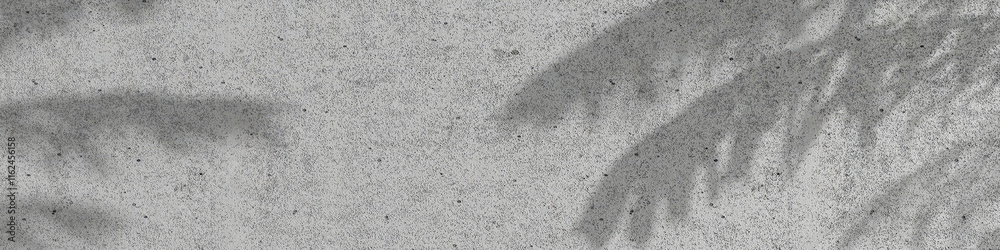 Empty concrete with palm shadow texture banner background Empty concrete with palm shadow texture banner background