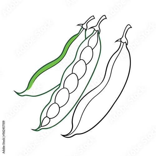 Coloring page. Composition of different vegetables on white background