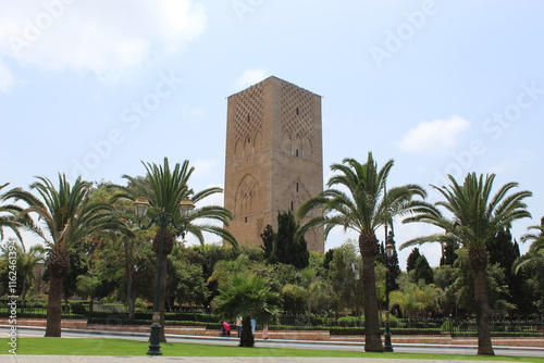 Photos Tour Hassan à Rabat au Maroc et palmiers