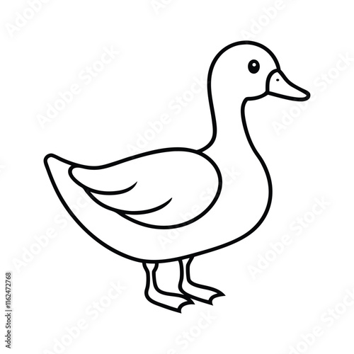 duck isolated on white