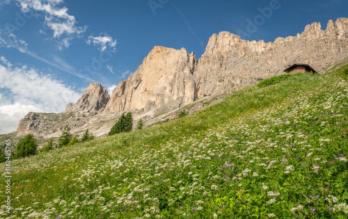 An alpine meadow with different wild flowers in the foreground, a small wooden cabin in the meadow, and impressive rock formation in the background. Rosengarten mountain massif during summer, Italian 