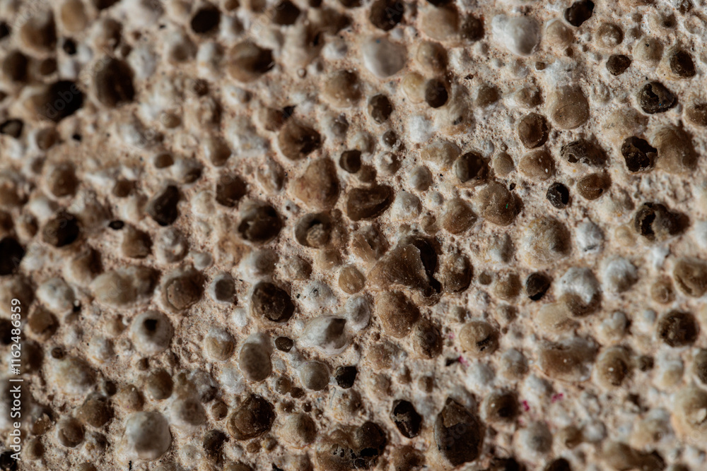 Close-up of a porous, granular surface with varying shades of brown and beige. Textured background ideal for design. Close-up of a porous, granular surface with varying shades of brown and beige. Textured background ideal for design.