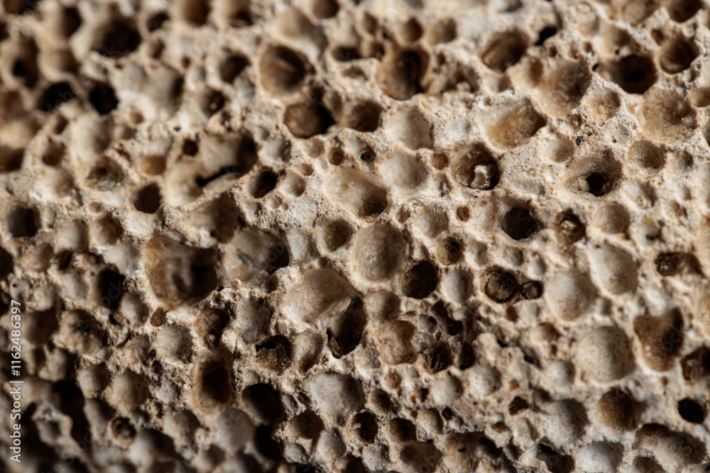 Close-up of porous rock texture.  Beige and brown tones create a unique natural pattern. Ideal for background or texture use.