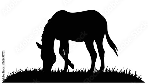 Grazing horse silhouette on grassy field