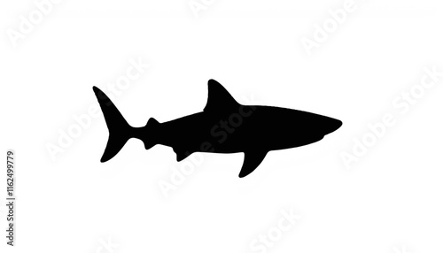 Shark silhouette on white background