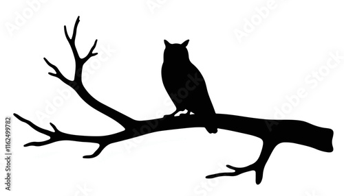 Owl sitting on a branch in silhouette