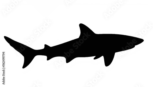 Black silhouette of a shark swimming in the ocean