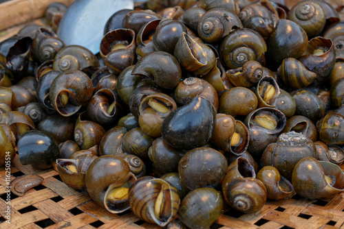 Steamed mussels to eat with dipping sauce
