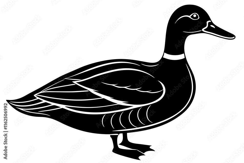 Mallard Duck Silhouette Vector Illustration Mallard Duck Silhouette Vector Illustration