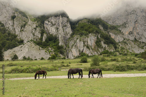 Plateau du Sanchèse. Lescun Cirque. France. A heavenly place, with magnificent views of the Pyrenean mountains, surrounded by streams, waterfalls and animals in freedom. photo