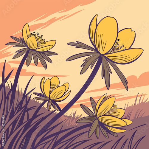 Winter aconite flowers glowing warmly in golden hour, blending orange, yellow, and dusky purple hues.