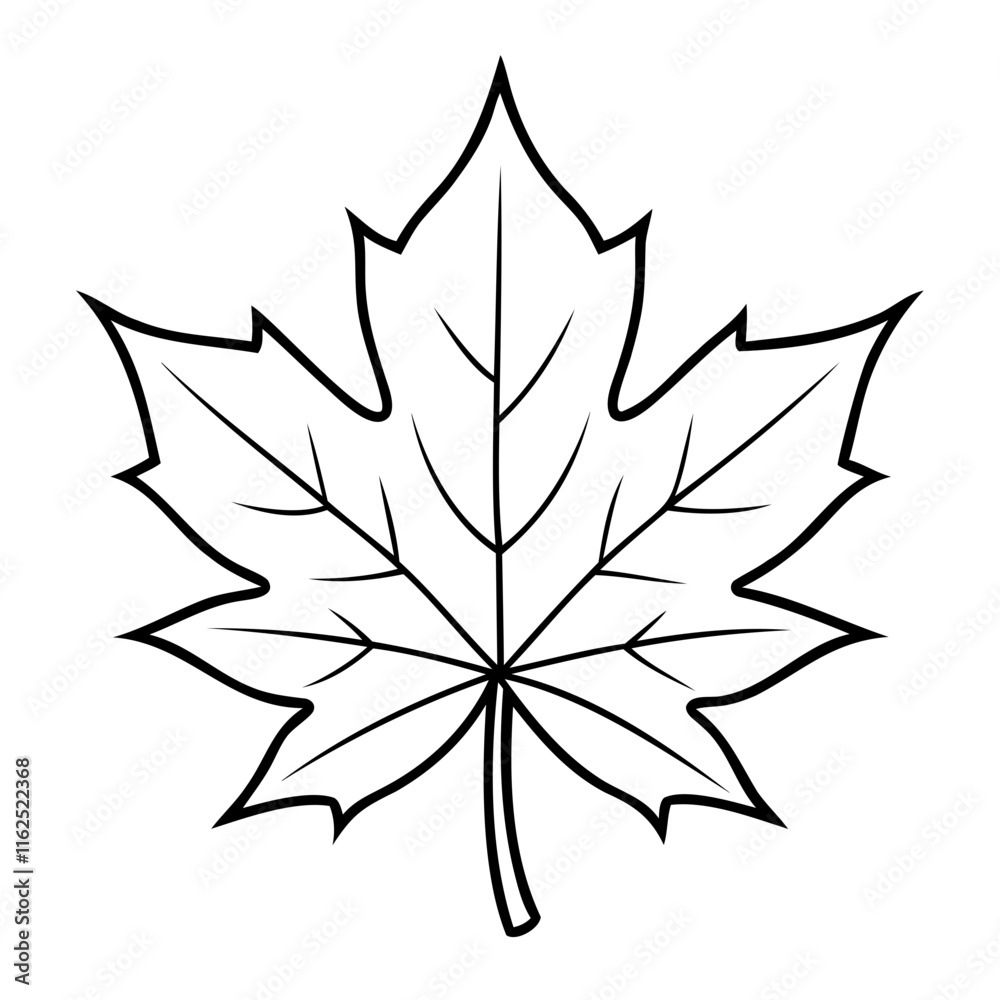 Maple Leaf Vector Outline High-Quality Maple Leaf line art isolated on a transparent background