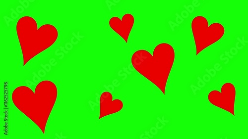 Few red hearts are shaking and popping out on green screen representing love for Valentines Day