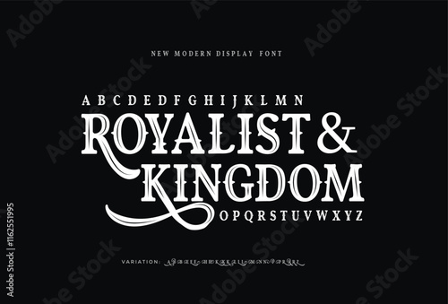 Elegant trendy display typeface bold serif. Modern vintage alphabet collection. Uppercase, lowercase, stylish alternate typography. Vector illustration
