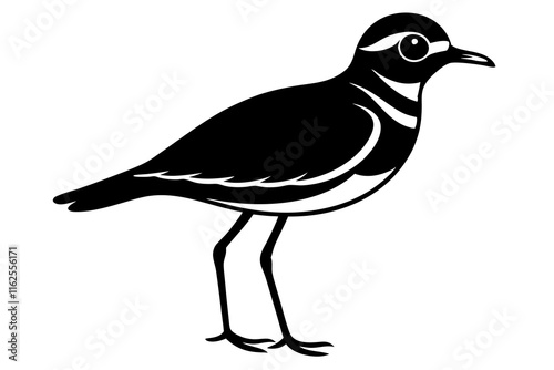 Killdeer Bird Silhouette Vector Illustration