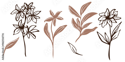 Minimalistic vector botanical illustration. hand drawn flowers and leaves in mocha and brawn outlines. line art and silhouettes, emphasizing natural, organic beauty in a modern style