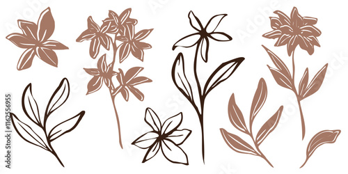 Minimalistic vector botanical illustration. hand drawn flowers and leaves in mocha and brawn outlines. line art and silhouettes, emphasizing natural, organic beauty in a modern style