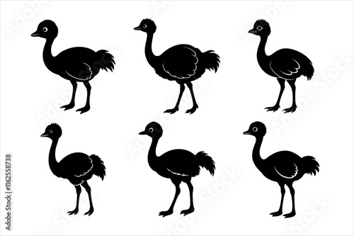 Set of Black and White Ostrich Silhouettes vector design