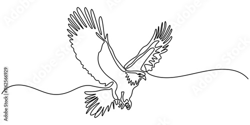 An eagle soars in the sky with its wings spread wide. A large bird of prey flies in the air. one continuous line, One single line of eagle isolated on white background, Bird of prey flying continuouse