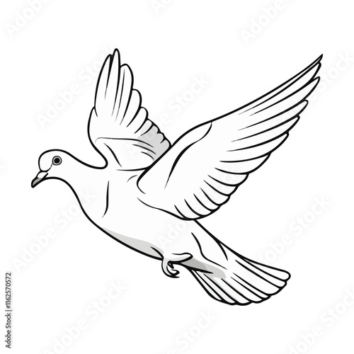 Pigeon flying isolated on white background, png