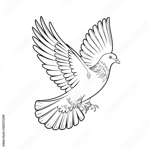 Pigeon flying isolated on white background, png