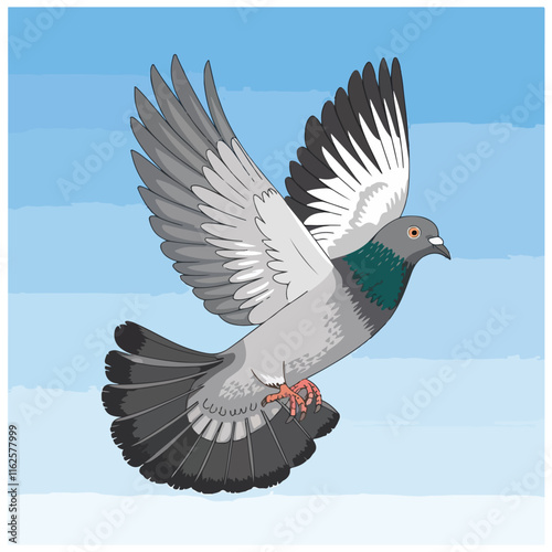 Pigeon flying isolated on white background, png