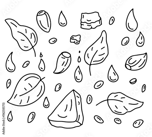
Square black and white illustration ingredients for pesto sauce. Basil, olive oil, Parmesan cheese, pine nuts, garlic