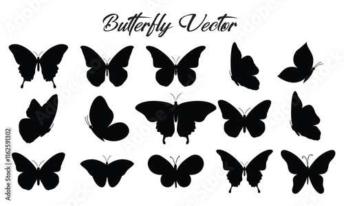 Set of silhouette black butterflies on white background. Vector