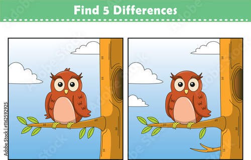 Funny cartoon owl. Find 5 differences. Kids Education games. Cartoon vector illustration photo