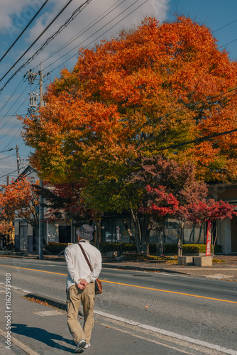 Autumn in Obuse - Nagano, Japan photo