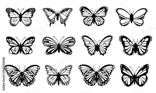 Flying butterflies silhouette set on white background  butterflies