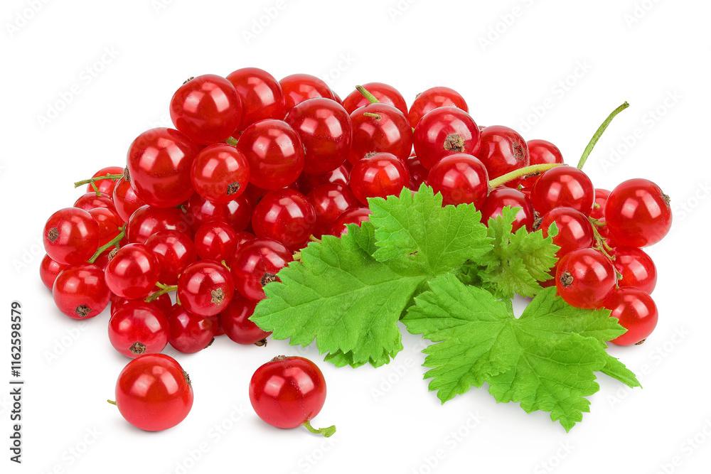 Red currant berries isolated on white background Red currant berries isolated on white background
