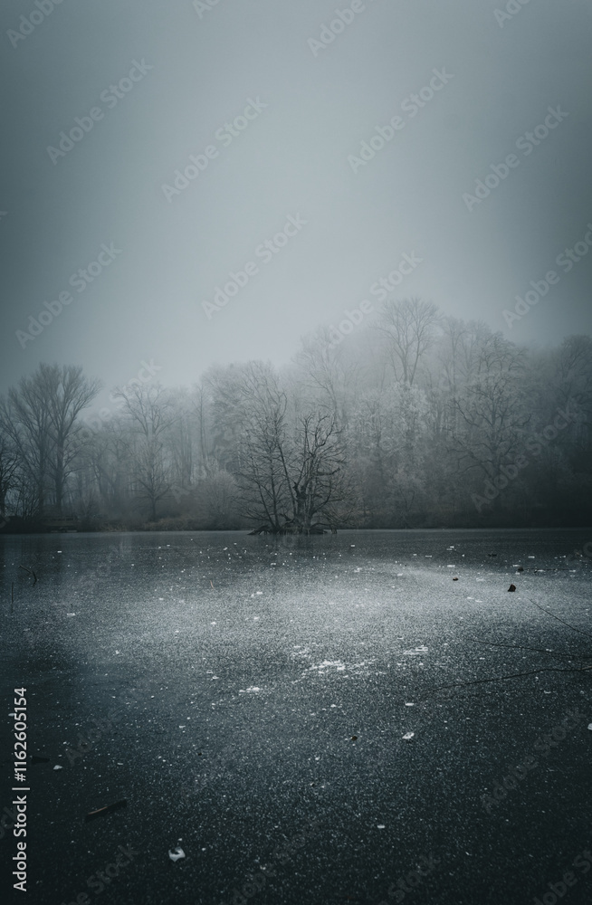 Obraz premium Gefrorener See an einem kalten Wintertag