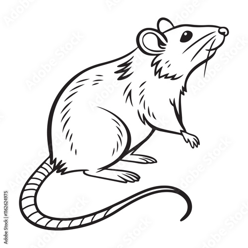 rat vector icon