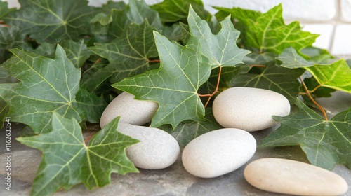 Foto Serene Spa Stones and Lush Green Ivy Leaves