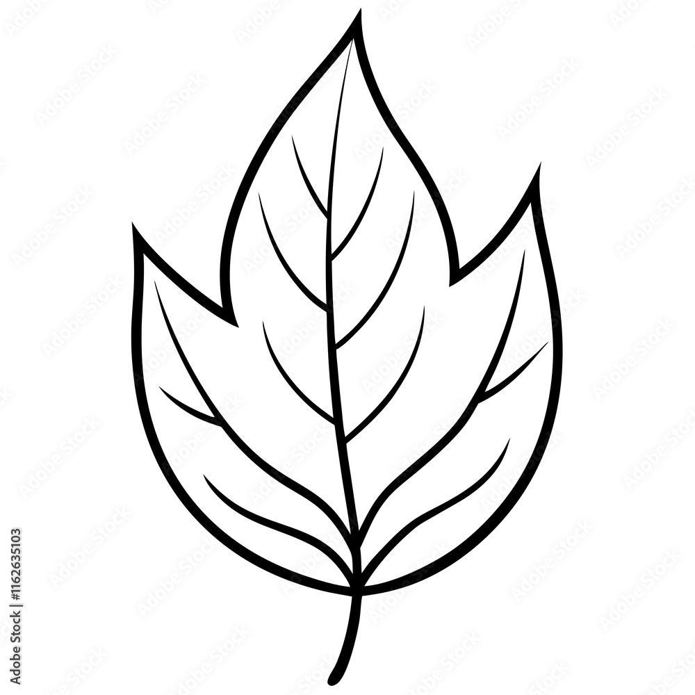 Clean Leaf Illustration Vector Clean Leaf Illustration Vector