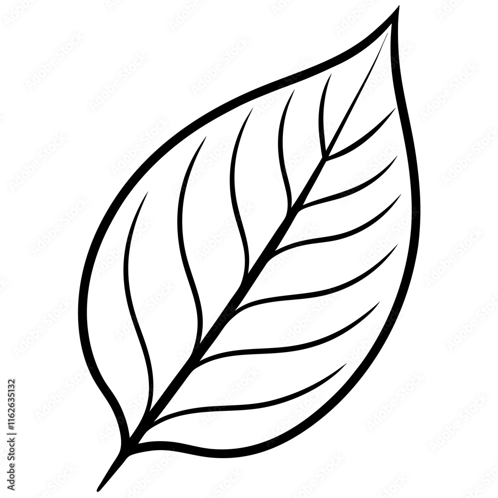 Clean Leaf Illustration Vector Clean Leaf Illustration Vector