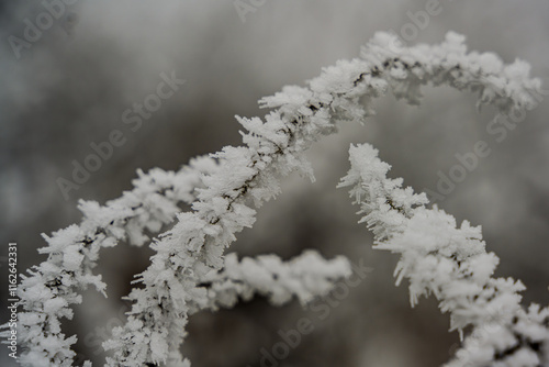 Ein frostiger Tag auf dem Bogenberg photo