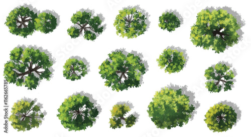 Vertor set of green tree,plants top view for landscape plan,schematic layout,eco environment concept design,watercolor greenery illustration photo