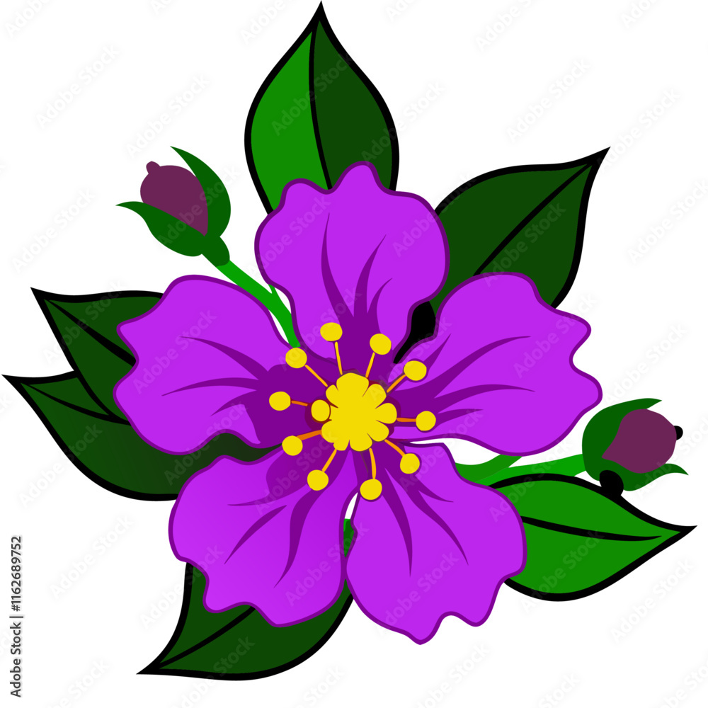Fototapeta premium Purple Lagerstroemia speciosa flower vector illustration (1)