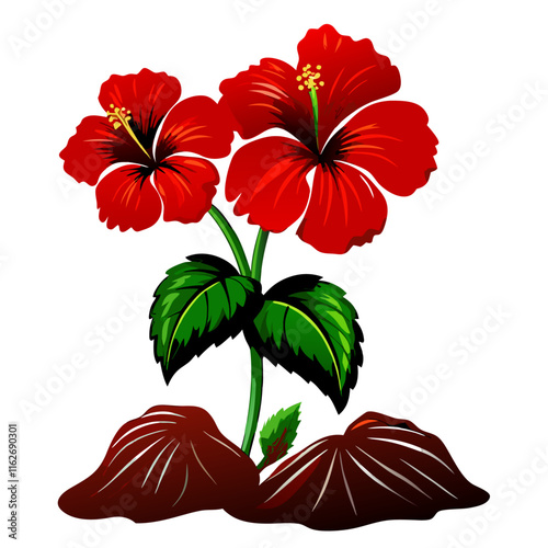 Red hibicus flowers on white background vector illustration (3)
