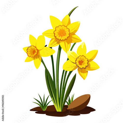 Yellow daffodil flowers vector illustration (1)