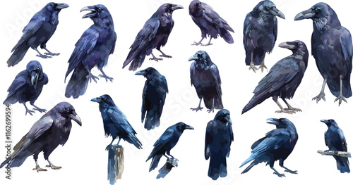 raven watercolor clipart