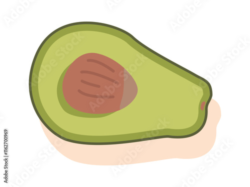 Halved avocado fruit vector illustration