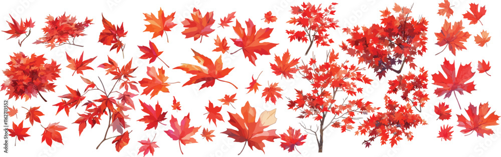 red maple watercolor clipart red maple watercolor clipart