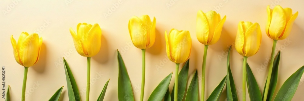 Naklejka premium Golden tulips blooming on a soft beige surface, floral, vintage